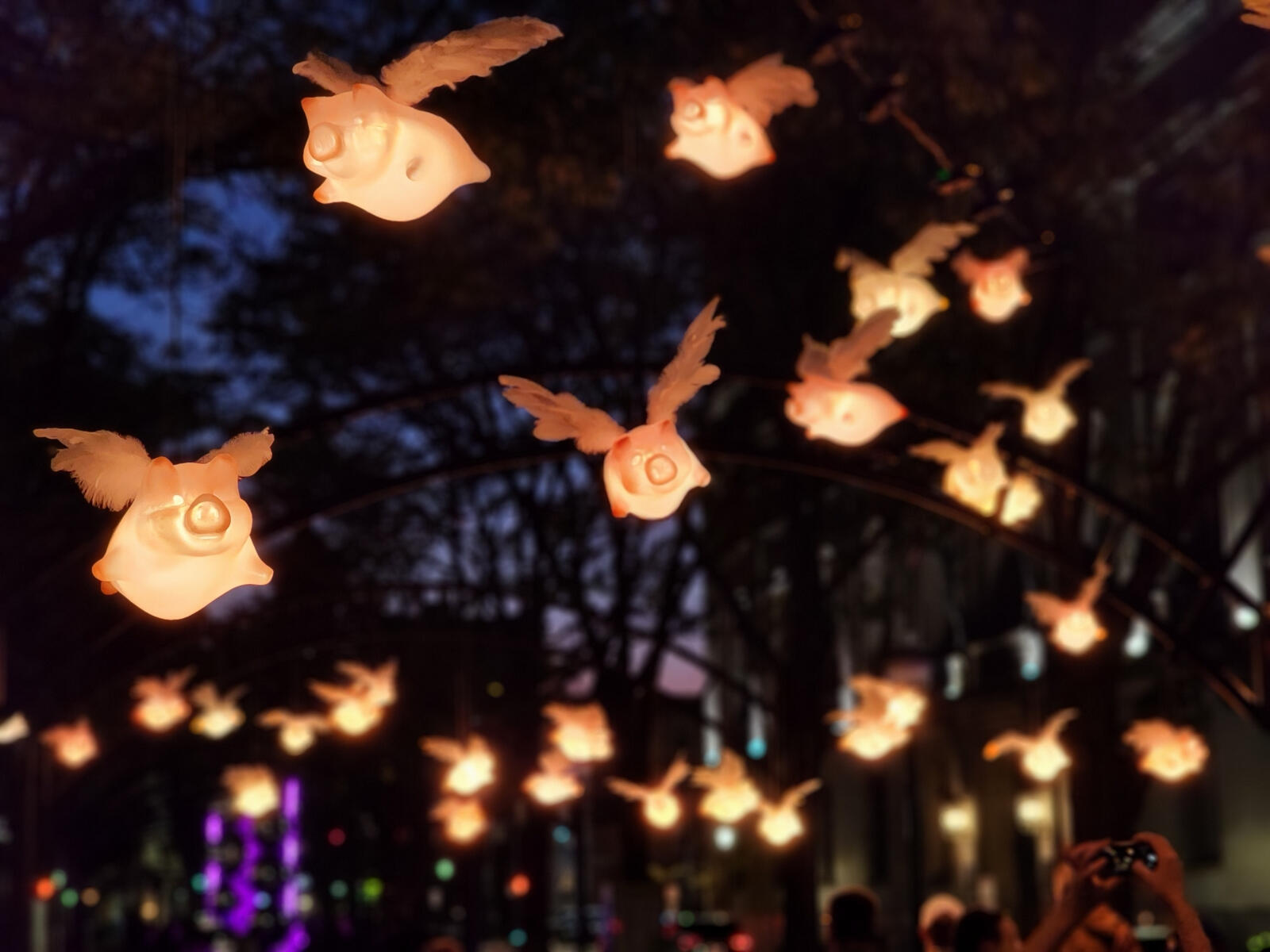 Pigs installed during Blink, photo by Ashley Hermann